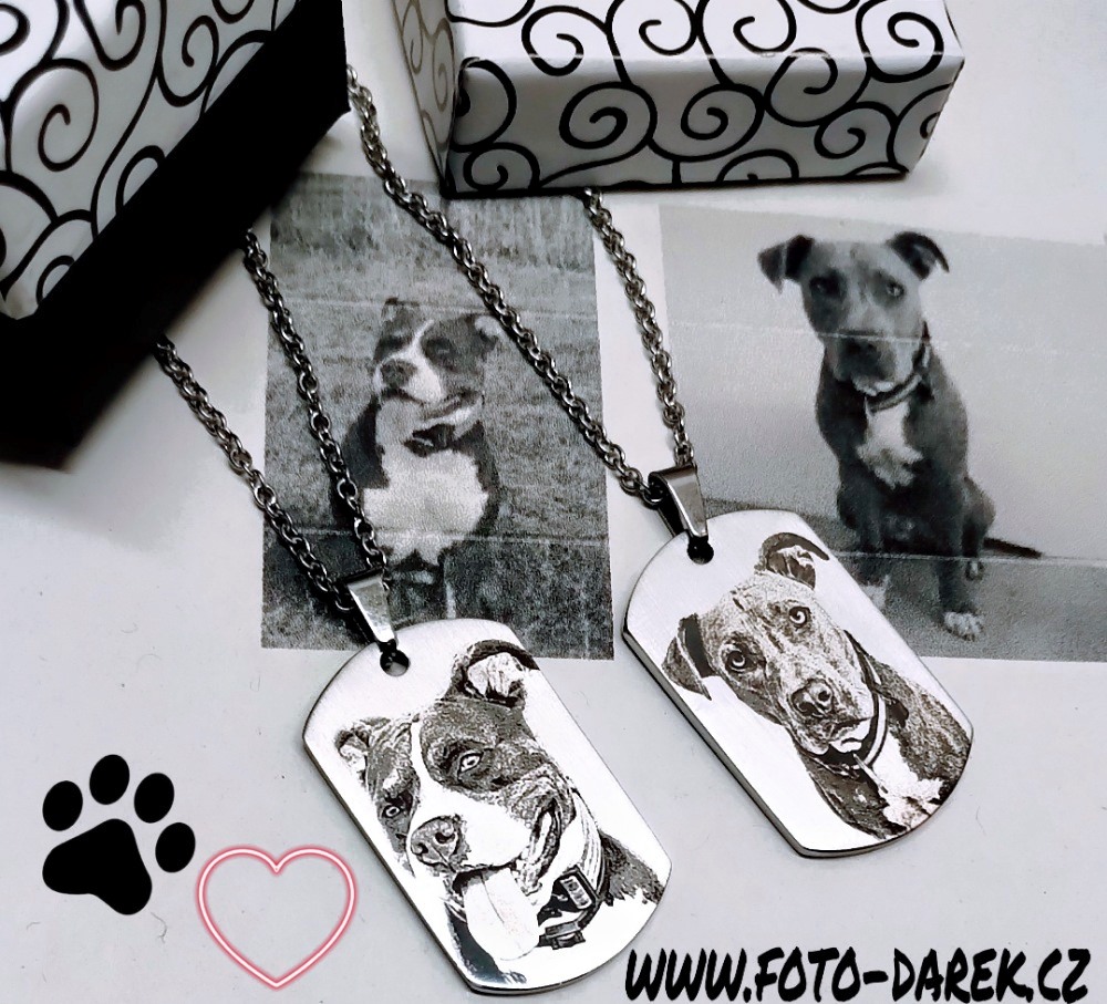 Ocelový přívěsek DOG TAG s vlastní fotografií / Několik variant